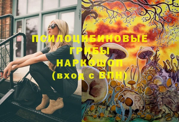 первитин Балахна